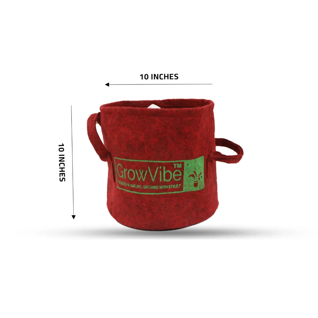 red bag size.webp